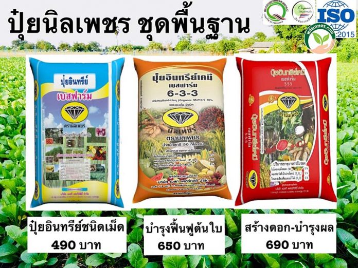 ผลิตภัณฑ์ปุ๋ยของ บริษัท เอสที เฟอร์ทิลิตี้ จำกัด ปุ๋ยอินทรีย์ ผลิตภัณฑ์ปุ๋ยของ บริษัท เอสที เฟอร์ทิลิตี้ จำกัด ปุ๋ยอินทรีย์