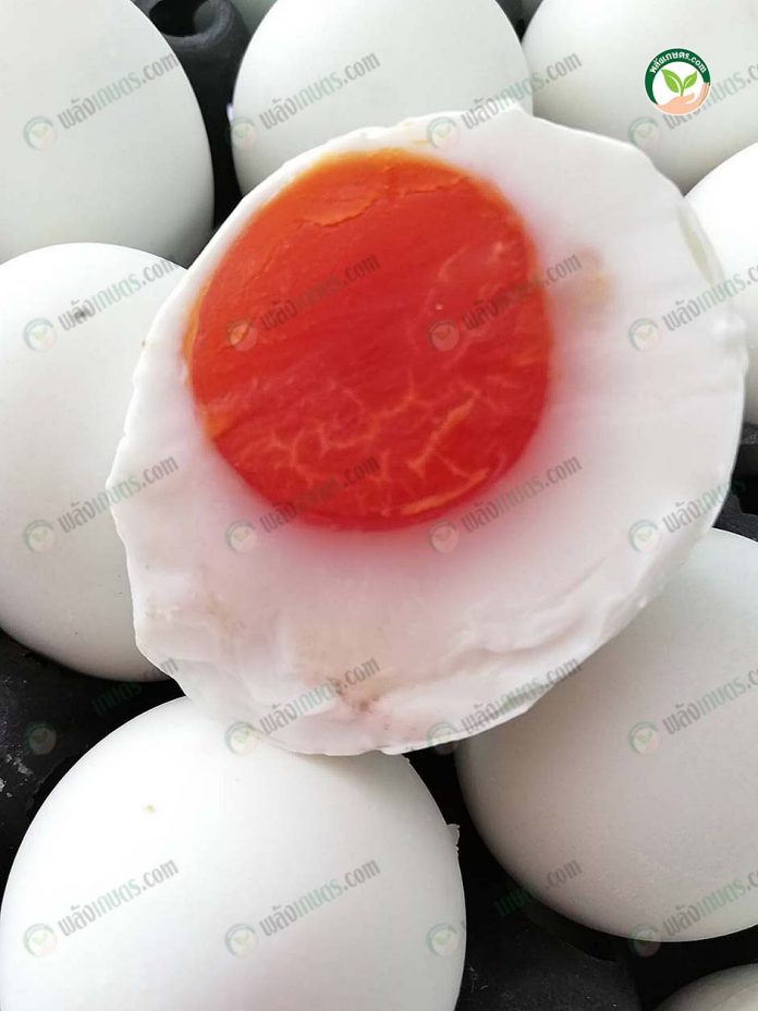 ไข่แดงจะมีสีสันสดสวย ไข่แดงจะมีสีสันสดสวย