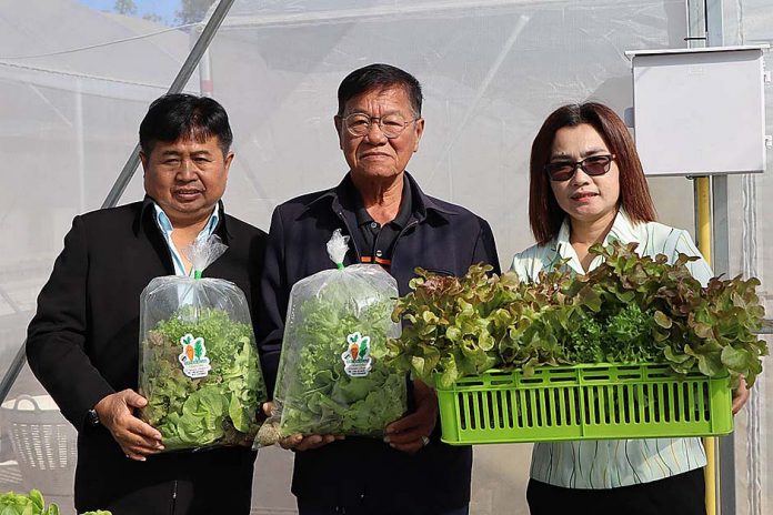 1.คุณจวน แก้วกุลศรี (กลาง) ประธานกรรมการบริหารสหกรณ์การเกษตรเมืองลับแล 1.คุณจวน แก้วกุลศรี (กลาง) ประธานกรรมการบริหารสหกรณ์การเกษตรเมืองลับแล