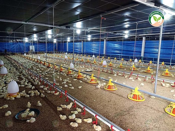 1.โรงเรือนไก่เนื้อ 1.โรงเรือนไก่เนื้อ