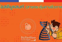 1.ไบโอสติมูแลนท์ (สารกระตุ้นทางชีวภาพ)