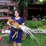 3.เจ๊แอมป์ และเจ้าหงส์ทอง ไก่ 20 ล้าน