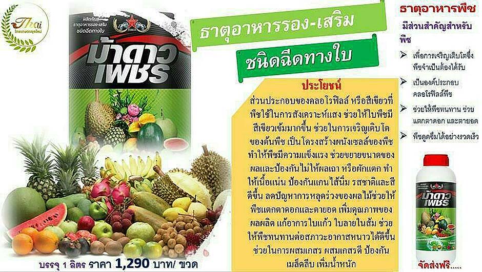 ธาตุอาหารรอง-เสริม ชนิดฉีดทางใบ ช่วยให้ใบพืชมีสีเขียวเข้มมากขึ้น