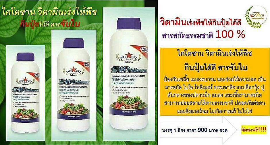 ไคโตซาน วิตามินเร่งให้พืชกินปุ๋ยได้ดี