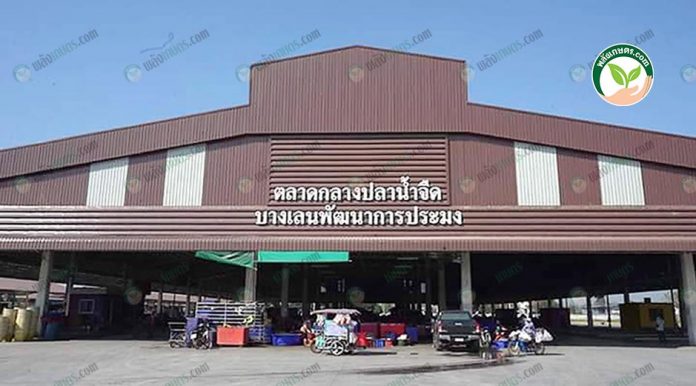 1.บรรยากาศด้านหน้าตลาดบางเลนธานี 1.บรรยากาศด้านหน้าตลาดบางเลนธานี