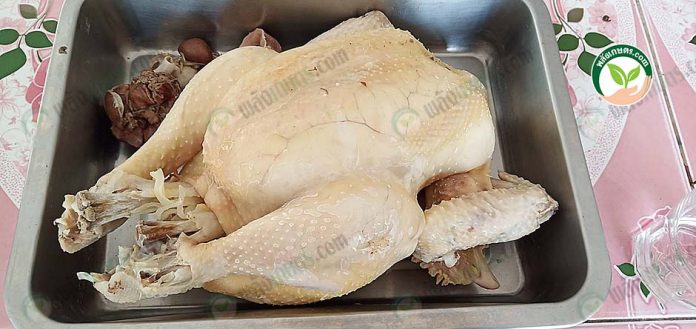 5.ไก่หน้าอกแน่น เหนียว นุ่ม 5.ไก่หน้าอกแน่น เหนียว นุ่ม