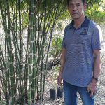 1.ผู้ใหญ่บุญสม เอี่ยมละออ
