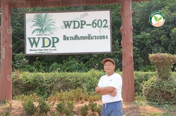 6.คุณวิชัย เจ้าของสวนลิจวนอินทผลัม 6.คุณวิชัย เจ้าของสวนลิจวนอินทผลัม