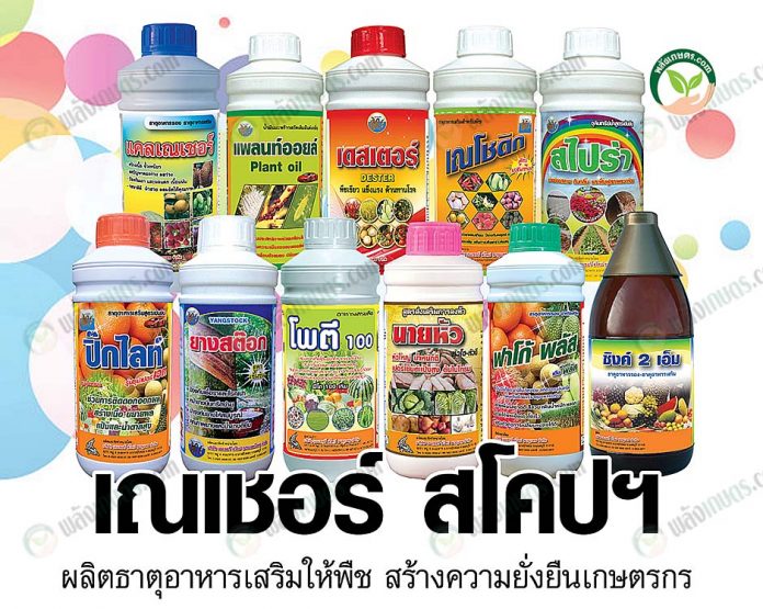 ปกเณเชอร์ ปกเณเชอร์