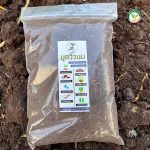 4.มูลวัวนม