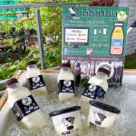 5.ผลิตภัณฑ์นมวัว