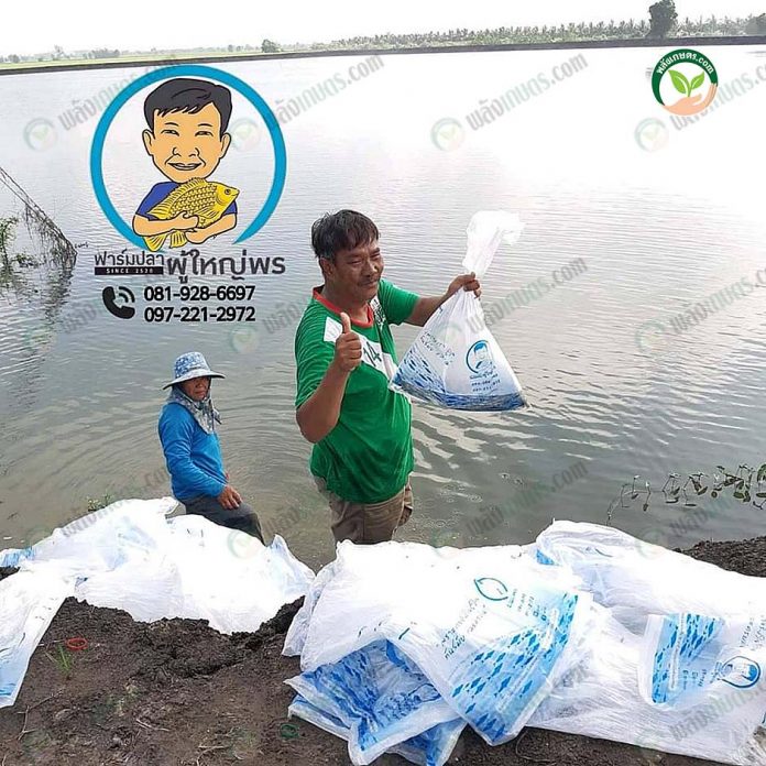 6.เกษตรกรมั่นใจลูกปลาแข็งแรง โตดี อัตรารอดสูง 6.เกษตรกรมั่นใจลูกปลาแข็งแรง โตดี อัตรารอดสูง