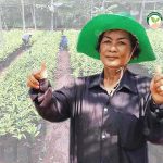 คุณประจวบ ละอออ่อน (ป้าตุ้ย)