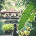 4.สวนสไตล์บาหลี (ที่มา : https://unsplash.com)