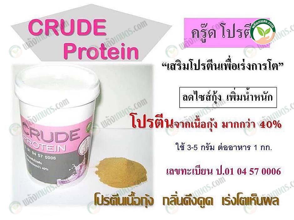 CRUDE Protein ช่วยในการลดไซซ์กุ้ง เพิ่มน้ำหนัก