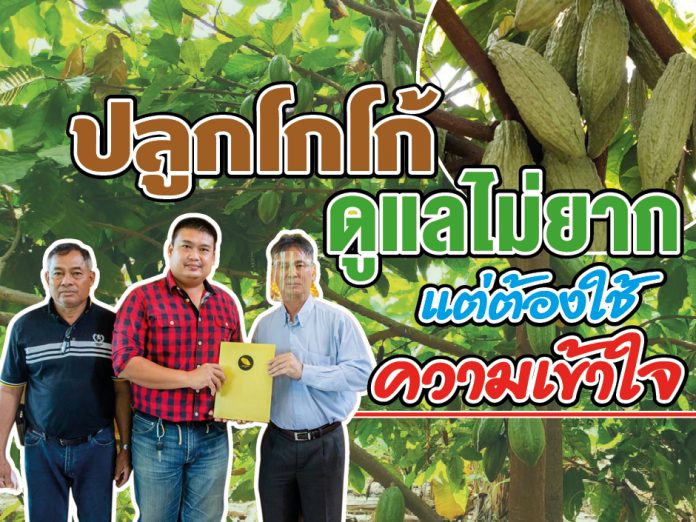 ปก