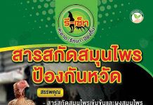 3.ผลิตภัณฑ์สารสกัดสมุนไพรป้องกันหวัด รี-เซ็ท