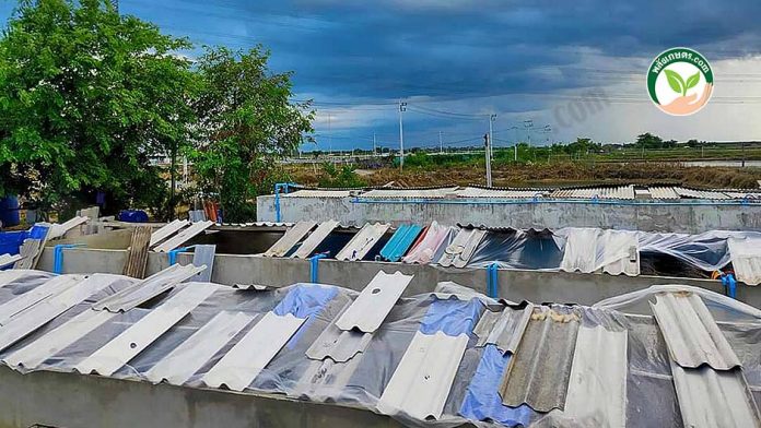 4.โรงเรือนเดิมแบบเปิด ไม่สามารถควบคุมอุณหภูมิได้ 4.โรงเรือนเดิมแบบเปิด ไม่สามารถควบคุมอุณหภูมิได้