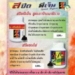 สปีด พีเจ็น สูตรยาบินนกพิราบ