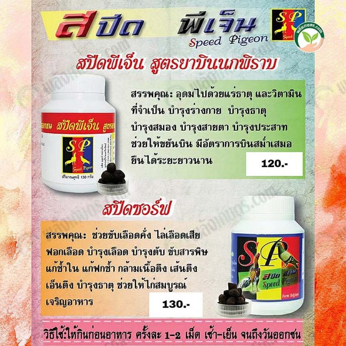 สปีด พีเจ็น สูตรยาบินนกพิราบ สปีด พีเจ็น สูตรยาบินนกพิราบ