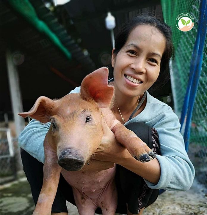 1.เกษตรกรผู้เลี้ยงหมู 1.เกษตรกรผู้เลี้ยงหมู