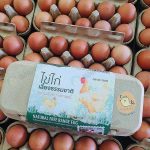 4.ผลผลิตไข่ไก่พร้อมจำหน่าย