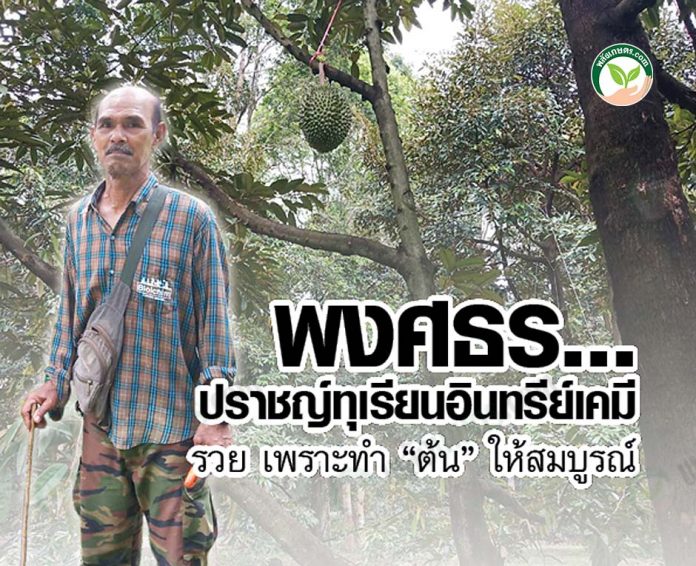 ปก พงศธร ปราชญ์ทุเรียน
