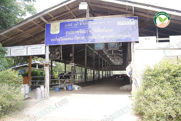 4.โรงเรือนวัว 4.โรงเรือนวัว
