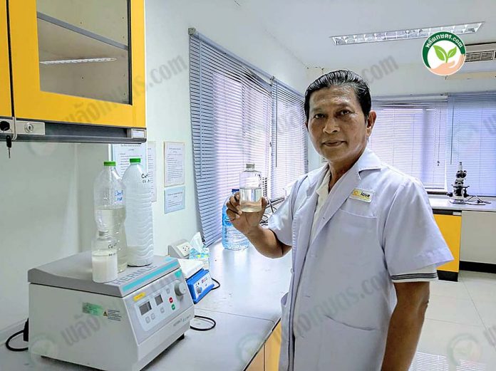 3.ทุเรียน3 3.ทุเรียน3