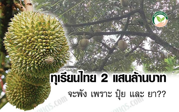 ปก ทุเรียนไทย 2 แสนล้าน