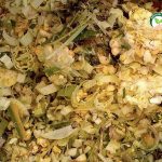 1.ข้าวโพดหมัก1