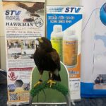 2.นกเหยี่ยว