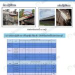 3.นกเหยี่ยว03