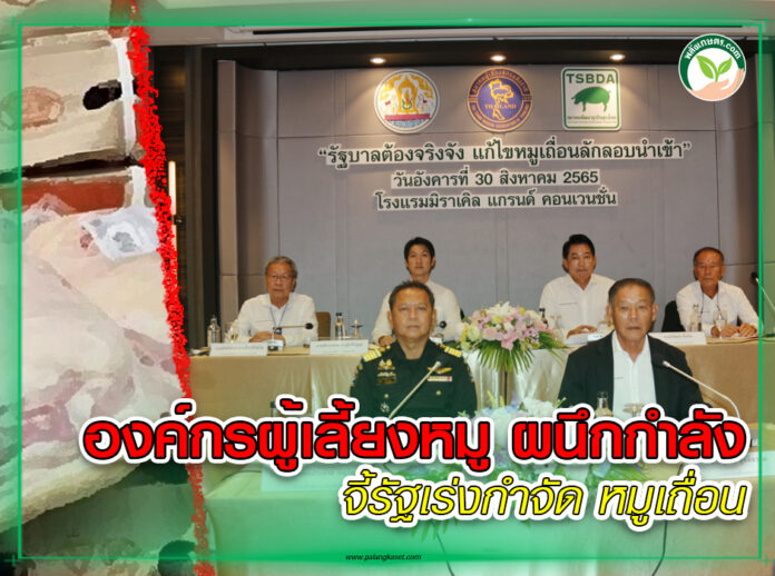 สัตว์บก 353 - องค์กรผู้เลี้ยงหมู