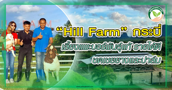 สัตว์บก 354 - Hill Farm copy