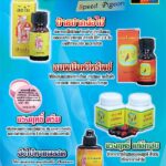 ADS ทวีทรัพย์ pk463