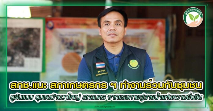 ชุมชนบ้านวาใหญ่ สกลนคร ออน์ไลน์ copy