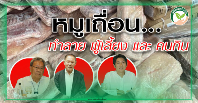 สัตว์บก 354 - หมูเถื่อน copy