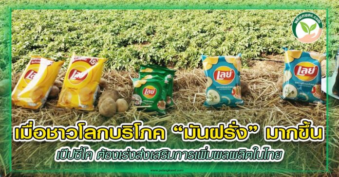 งานเป๊บซี่โค copy