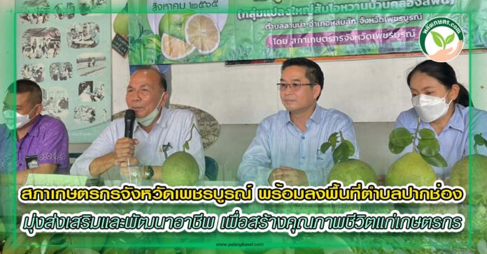 สภาเกษตรกรจังหวัดเพชรบูรณ์ copy