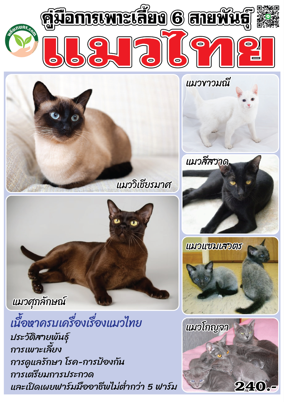 คู่มือการเพาะเลี้ยง 6 สายพันธุ์ แมวไทย