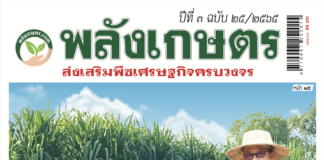 นิตยสารพลังเกษตร ฉบับ 25