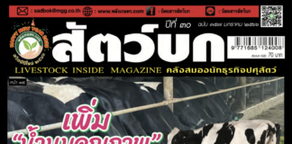 นิตยสารสัตว์บก ฉบับ 357