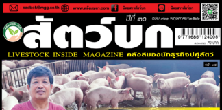 นิตยสาร สัตว์บก ฉบับ 361