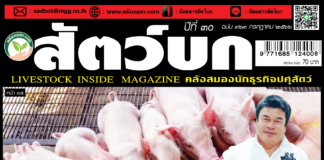 นิตยสาร สัตว์บก ฉบับ 363