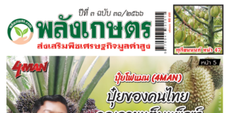 นิตยสารพลังเกษตร ฉบับ 31