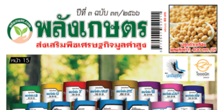 นิตยสารพลังเกษตร ฉบับ 33