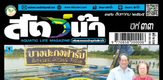 นิตยสารสัตว์น้ำ ฉบับ 396