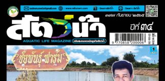 นิตยสารสัตว์น้ำ ฉบับ 397