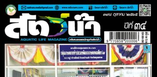 นิตยสารสัตว์น้ำ ฉบับ 398